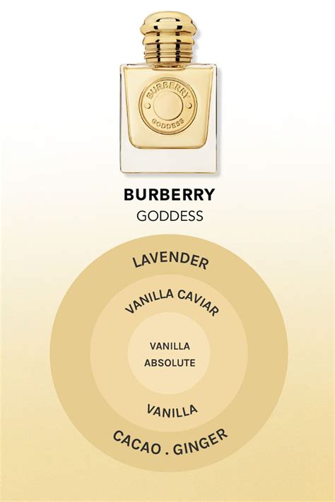 what does burberry for women smell like|Burberry her vs goddess.